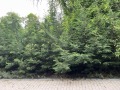 Под наем 2-СТАЕН, град Пловдив, Христо Смирненски • 380 € / 743.22 лв. • 81929273 6