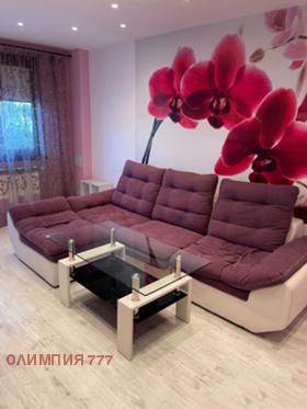 ������ ���� ��� ���� 2-�����