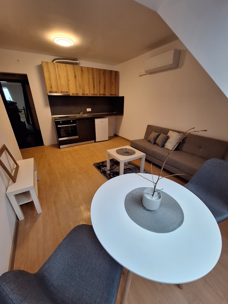 De inchiriat  1 dormitor Sofia , v.z.Cinoțentâra 3 ciast , 50 mp | 49815268 - imagine [2]