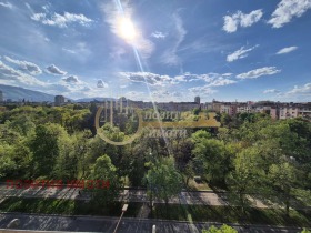 ������ ���� ��� ���� 3-�����