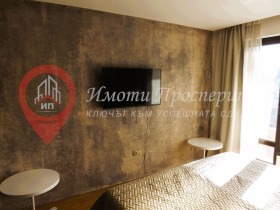 1 bedroom Pavlovo, Sofia 9