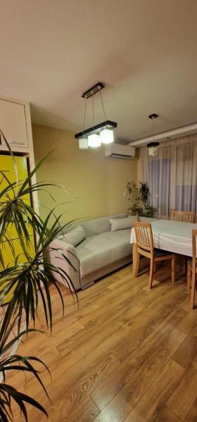 ����� ���� ��� ���� 2-�����,���� �����, ������� ����������