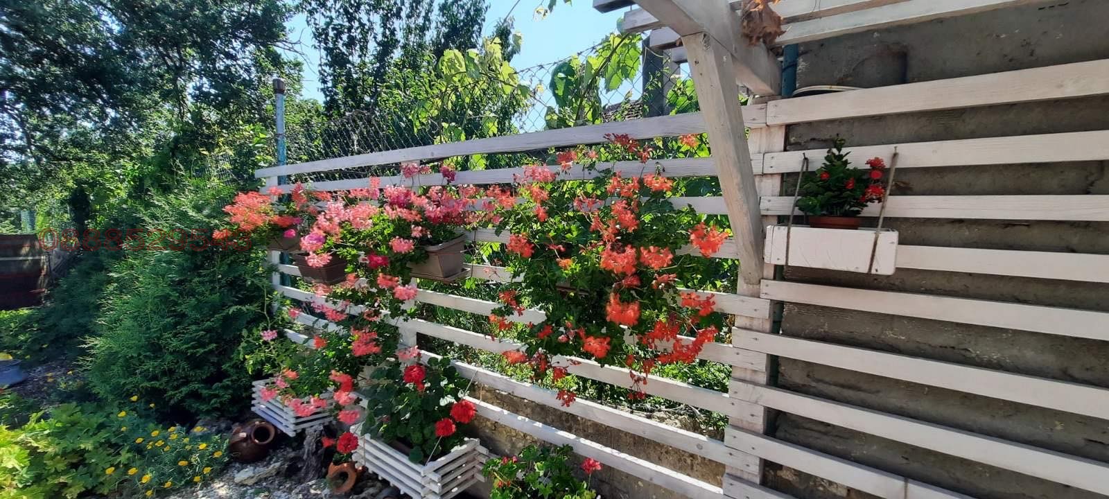 ���� ��� ���� ���� | Imot.bg � ����������� 12