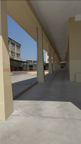 ����� ���� ��� ���� �����,���� ����, ���������� ���� - �����