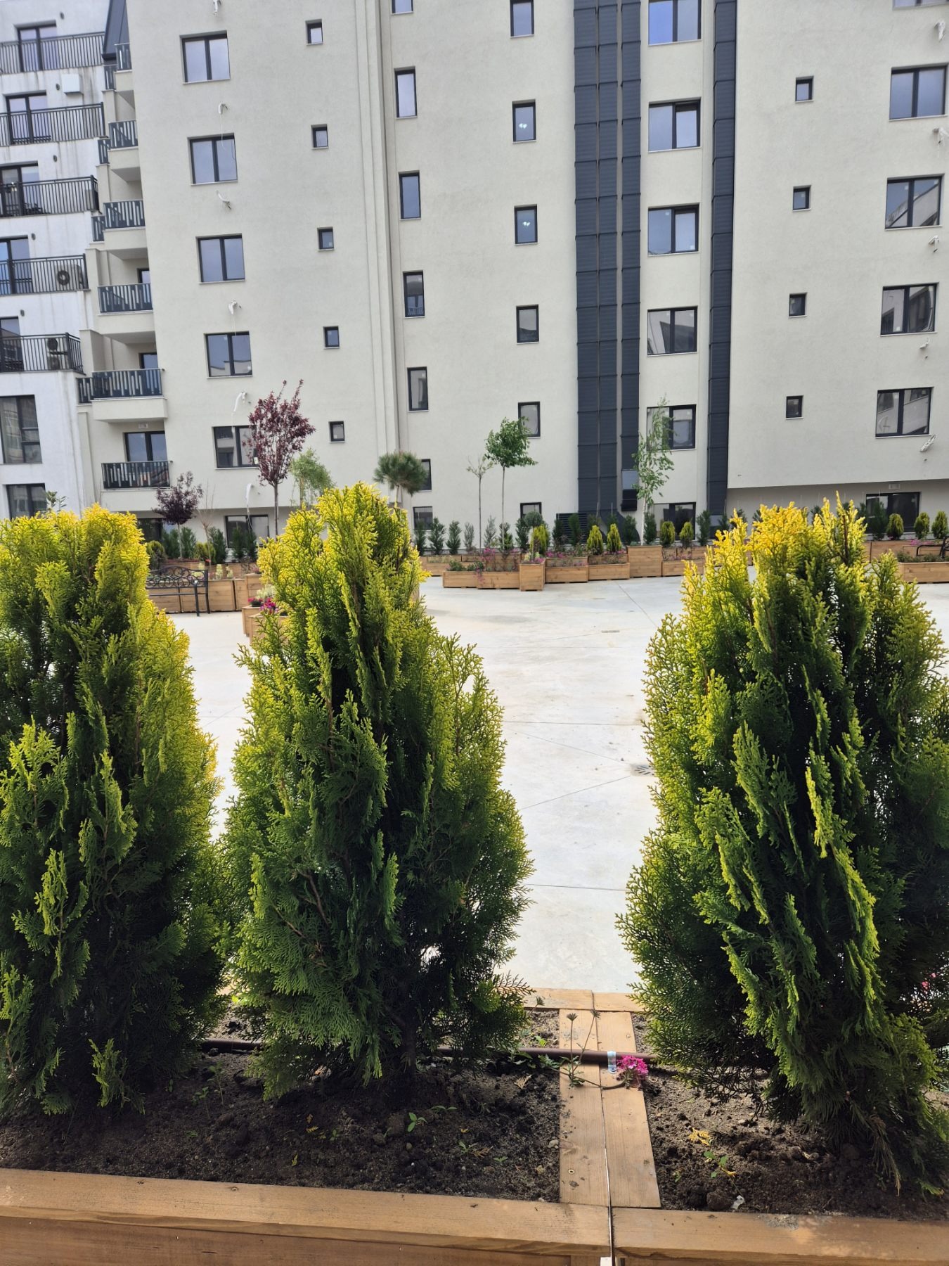 ���� ��� ���� 2-����� | Imot.bg � ����������� 11