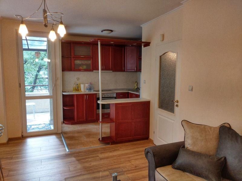 Дава под наем 2-СТАЕН, гр. София, Лозенец, снимка 4 - Апартаменти - 53039918