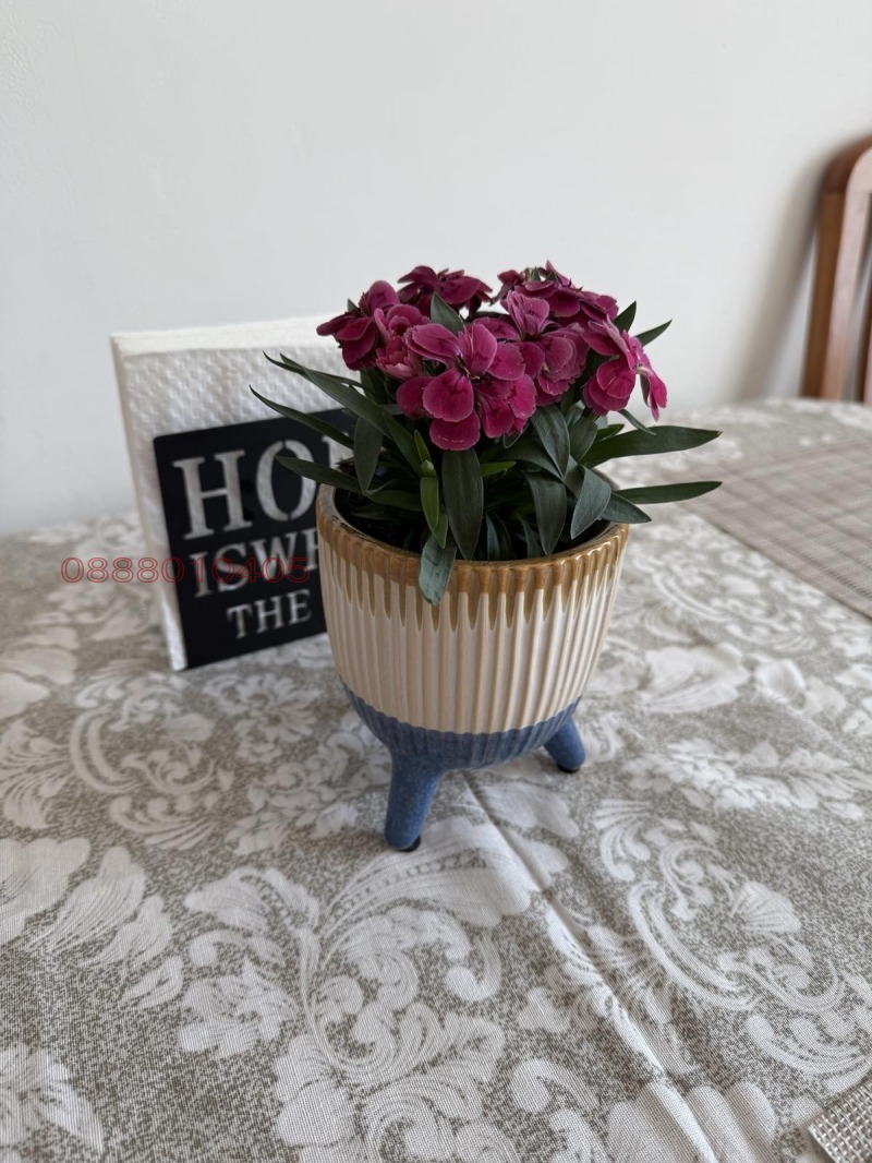 Дава под наем 3-СТАЕН, к.к. Слънчев бряг, област Бургас, снимка 2 - Апартаменти - 52816063