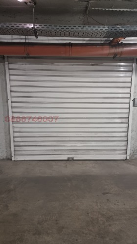 ����� ���� ��� ���� �����,���� �����, �������