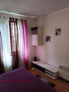 Studie Bansko, region Blagoevgrad 5