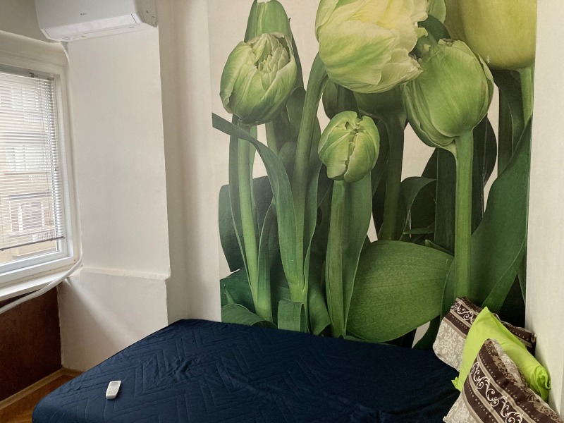 Дава под наем 2-СТАЕН, гр. София, Център