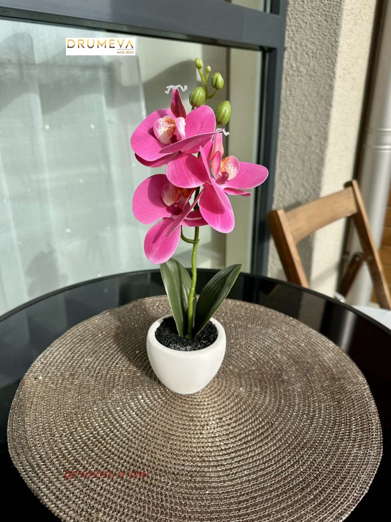 Дава под наем 2-СТАЕН, гр. Варна, Бриз, снимка 12 - Апартаменти - 52403462