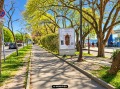 Дава под наем  1-стаен град Варна , Гръцка махала , 50 кв.м | 16255390 - изображение [8]