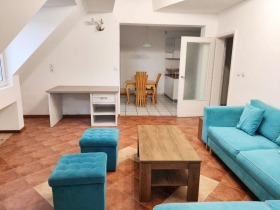 ������ ���� ��� ���� ����������