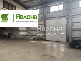 ����� ���� ��� ���� �����,���� �����, ���������