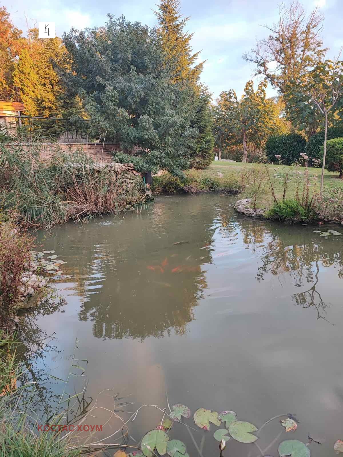 ���� ��� ���� 2-����� | Imot.bg � ����������� 12