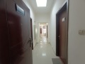Дава под наем  Офис град Хасково , Център , 22 кв.м | 67810301 - изображение [7]