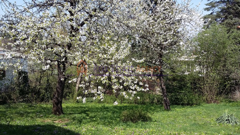 För uthyrning  Hus Sofia , v.z.Belovodski pat , 220 kvm | 50888649 - bild [16]