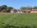 Дава под наем КЪЩА, с. Масларево, област Велико Търново, снимка 1