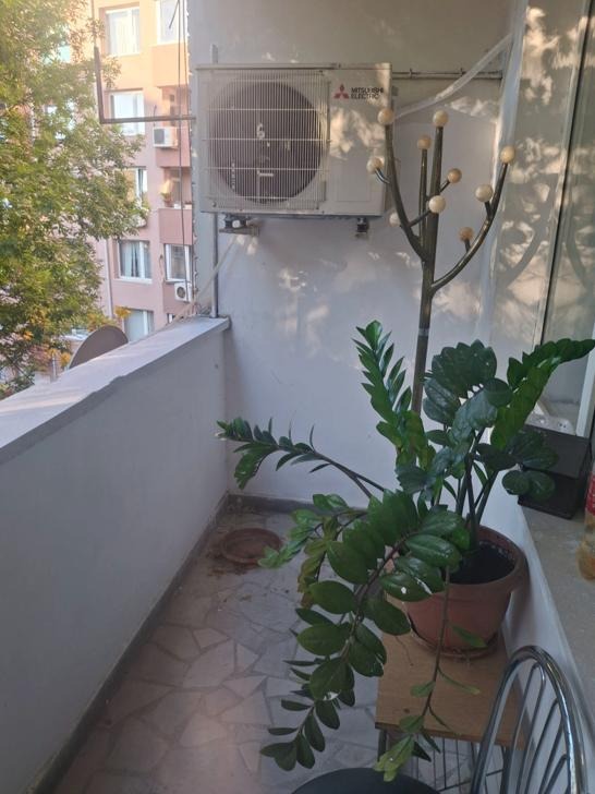 K pronájmu  Studio Sofia , Medicinska akademija , 57 m2 | 31214601 - obraz [6]