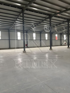 ����� ���� ��� ���� �����,���� �������, ������������ ���� - �����