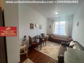 Studio Bansko, region Blagoevgrad 3