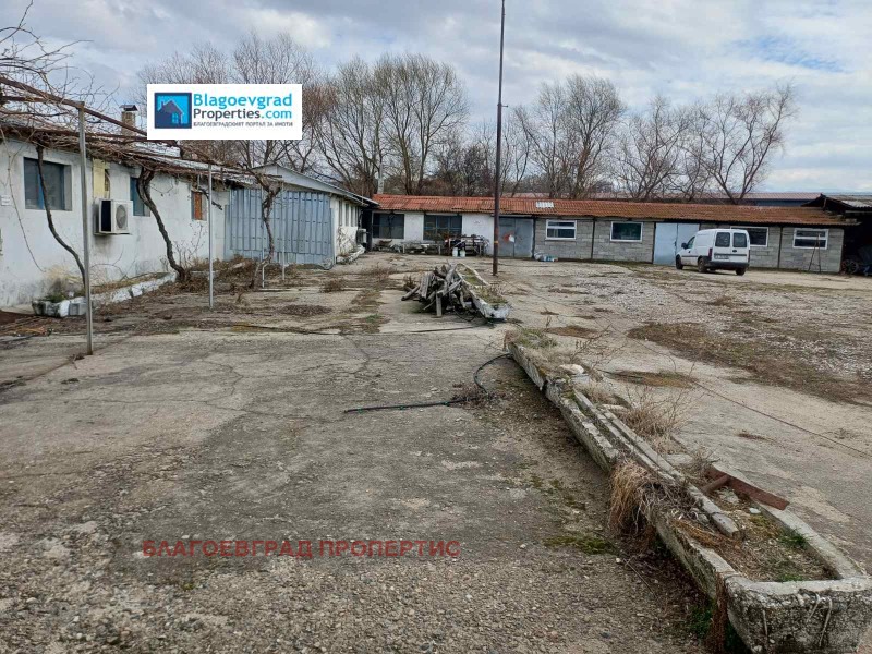 Дава под наем СКЛАД, гр. Благоевград, Първа промишлена зона, снимка 13 - Складове - 53029257