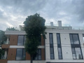 Под наем 3-СТАЕН, град София, Драгалевци • 1200 € • 40639438 — Holmes.bg