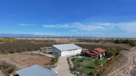 ����� ���� ��� ���� ����. ���������,�. ����� ������, ������ �������