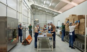 ����� ���� ��� ���� ����. ���������,�. ����� ������, ������ �������