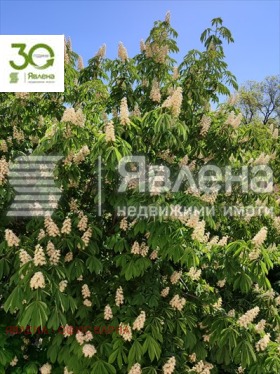    3- | Imot.bg    3