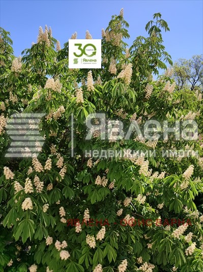 Дава под наем  3-стаен град Варна , Гръцка махала , 80 кв.м | 60831350 - изображение [3]