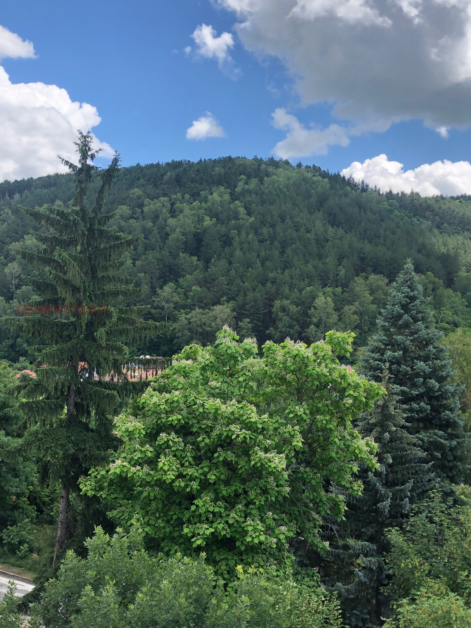 ���� ��� ���� 3-����� | Imot.bg � ����������� 15