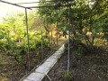 Под наем КЪЩА, град Варна, м-т Сотира • 440 € • 66711553 — Holmes.bg