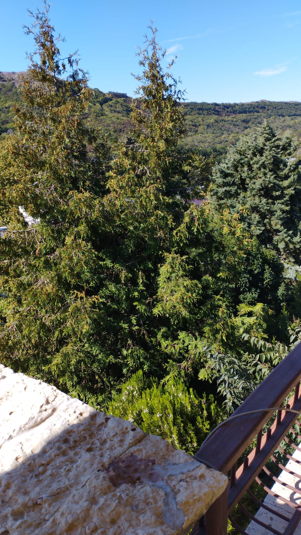 ���� ��� ���� ���� | Imot.bg � ����������� 3