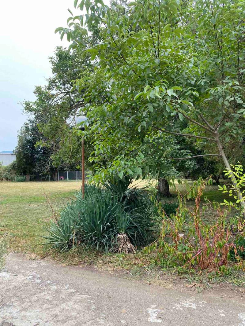 ���� ��� ���� ���� | Imot.bg � ����������� 16