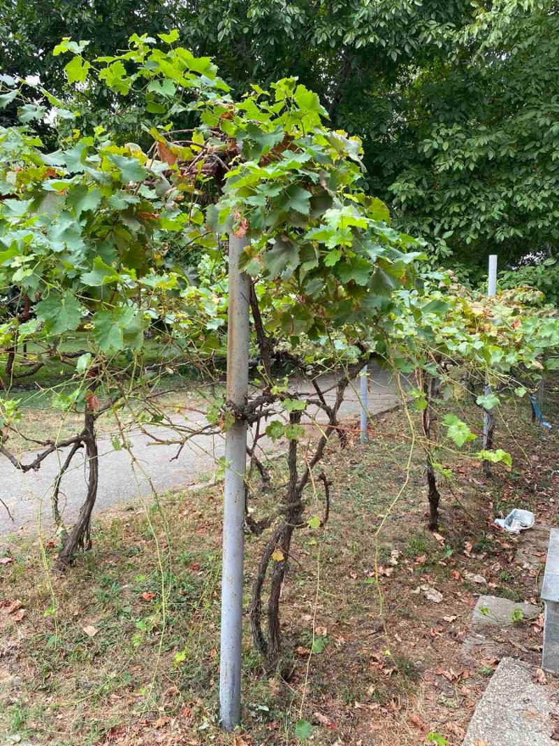 ���� ��� ���� ���� | Imot.bg � ����������� 15