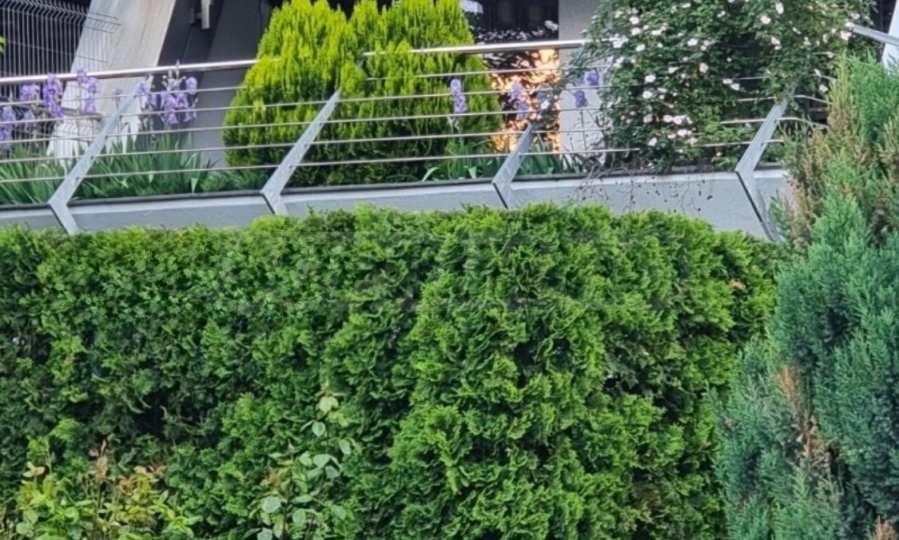 ���� ��� ���� 2-����� | Imot.bg � ����������� 11