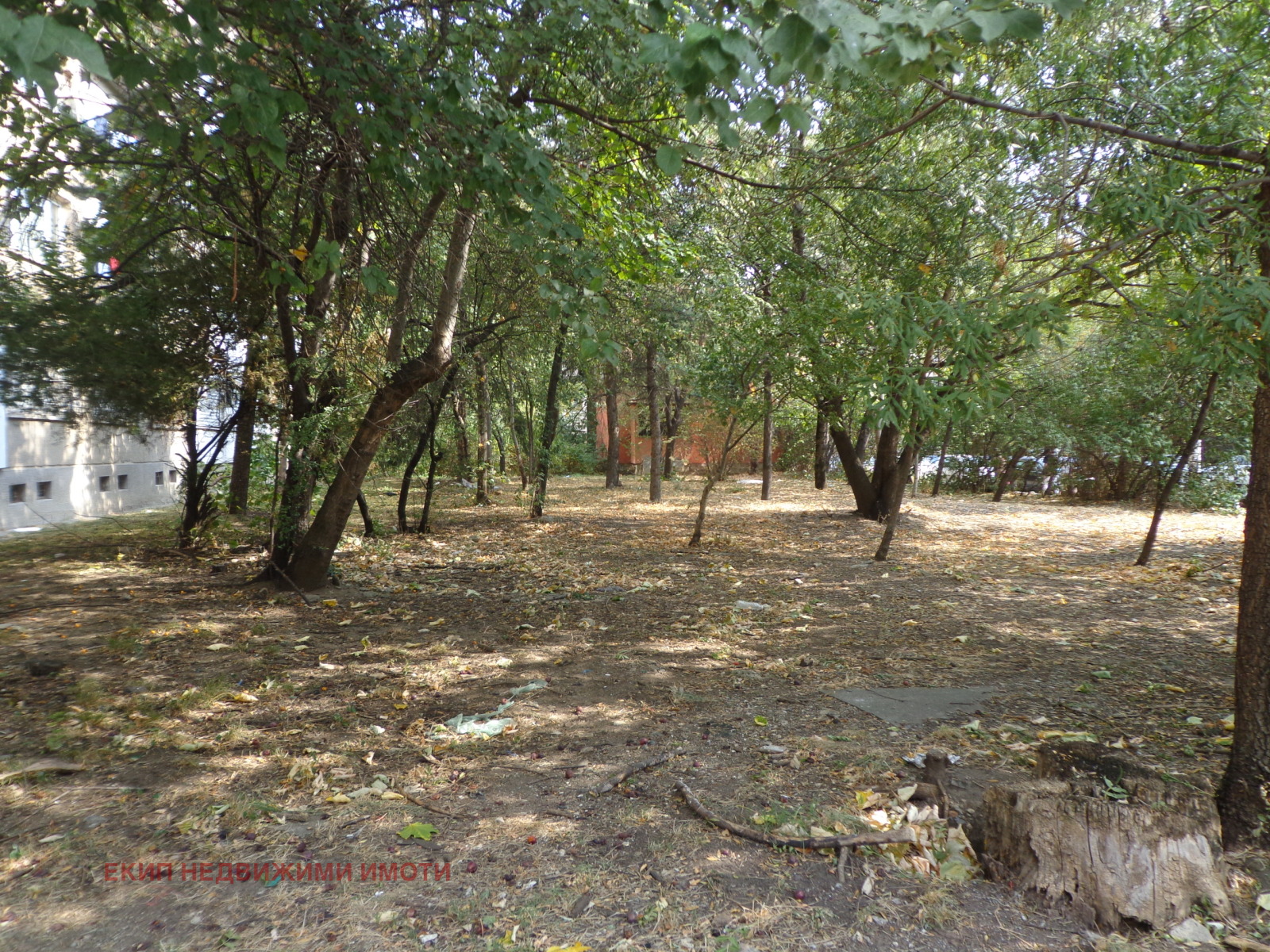 ���� ��� ���� 1-����� | Imot.bg � ����������� 13