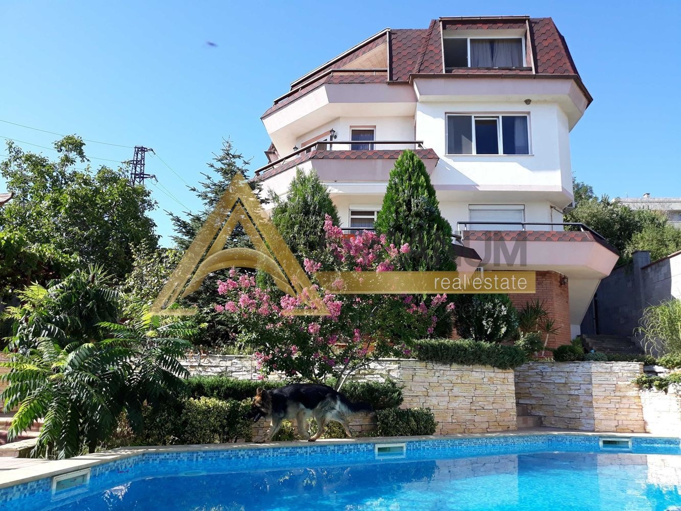 ���� ��� ���� ���� �� ���� | Imot.bg � ����������� 1