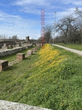 ����� ���� ��� ���� 3-�����,��. ������, ������ �������