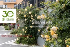 ���� ��� ���� 1-����� | Imot.bg � ����� ������ 8