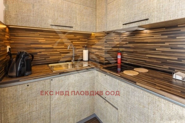 Дава под наем 2-СТАЕН, гр. Пловдив, Център, снимка 2 - Апартаменти - 53983792