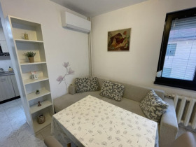 1 camera da letto Geo Milev, Sofia