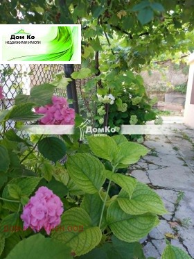 ���� ��� ���� 3-����� | Imot.bg � ����� ������ 8