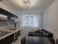 Дава под наем  2-стаен град София , Дружба 1 , 60 кв.м | 67858917 - изображение [3]
