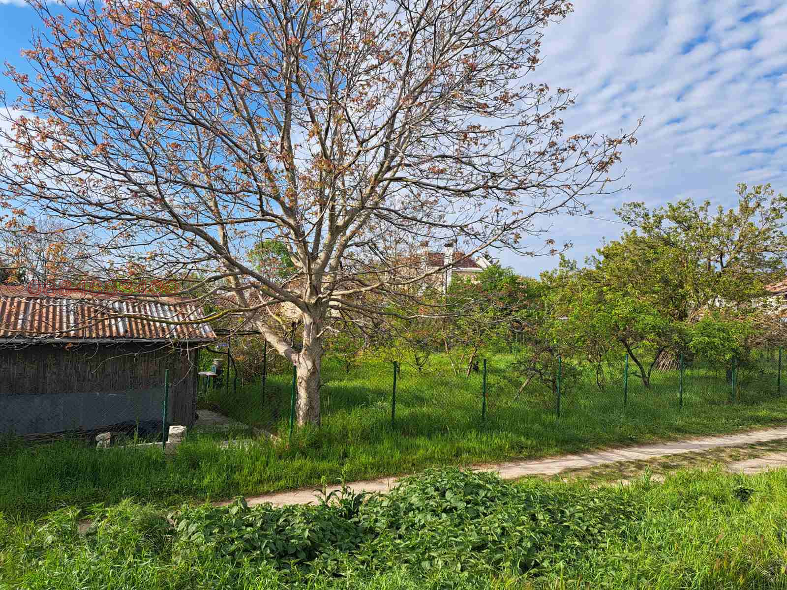 ���� ��� ���� ����� | Imot.bg � ����������� 5