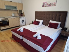 Studio Bansko, region Blagoevgrad 1