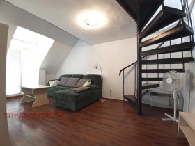 ����� ���� ��� ���� 2-�����,���� �����, ������