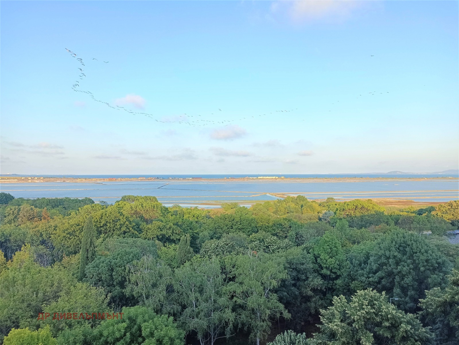 ���� ��� ���� 2-����� | Imot.bg � ����������� 17