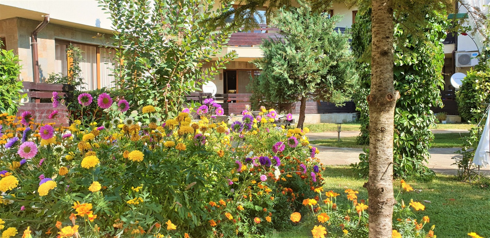 ���� ��� ���� 2-����� | Imot.bg � ����������� 1